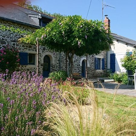 Murmures De Loire Montjean-sur-Loire Eksteriør billede