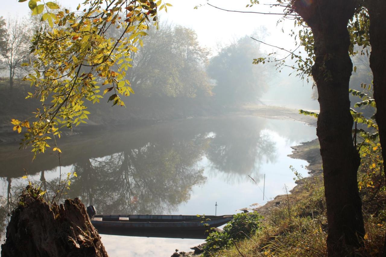 Murmures De Loire Montjean-sur-Loire Eksteriør billede