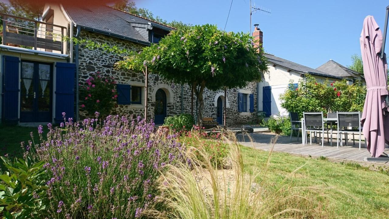 Murmures De Loire Montjean-sur-Loire Eksteriør billede